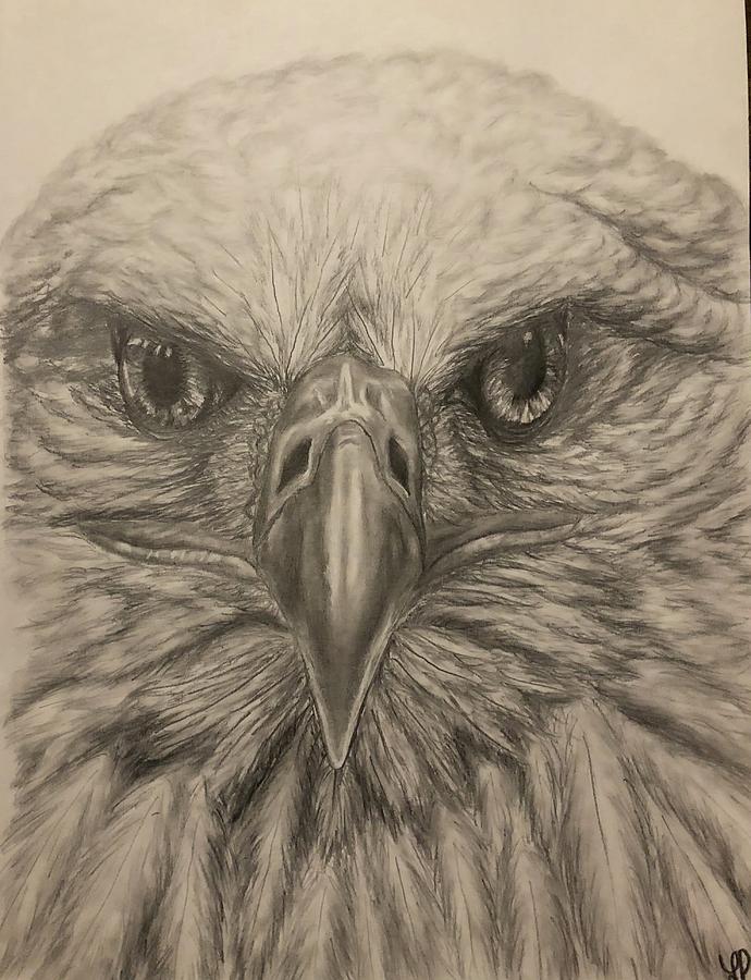 Eagle Drawing by Leah Pawlowski - Fine Art America