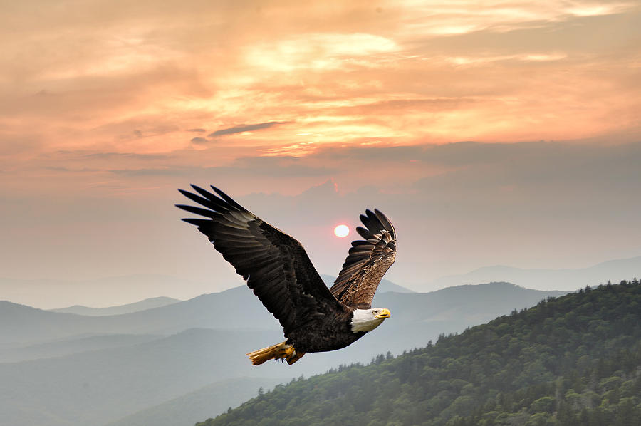 Inspiration Photograph - Eagle Mountain Sunrise by Randall Branham