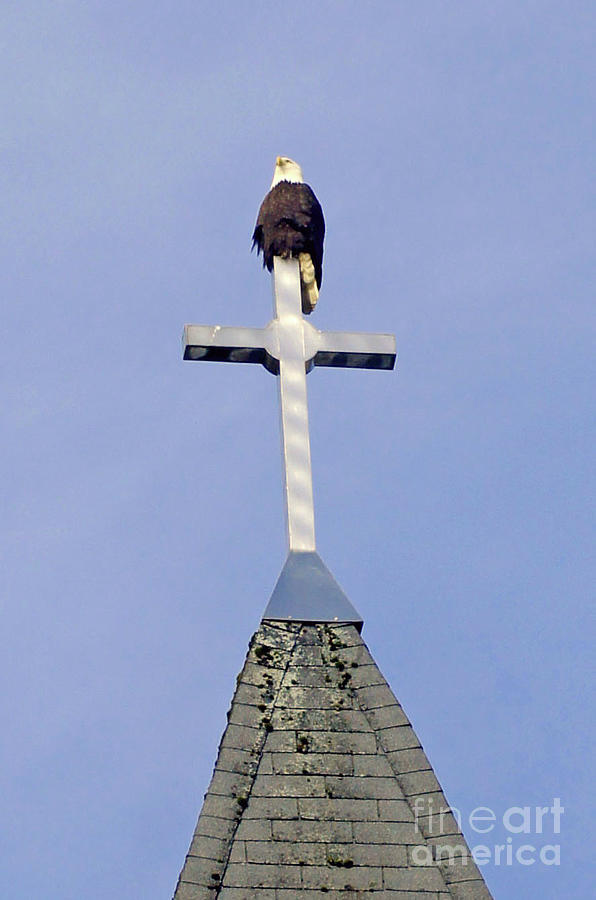 Eagle on a cross Photograph by Steve Speights