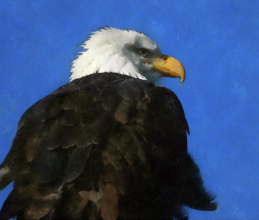 Eagle Digital Art - Eagle on Alert by Robert Bissett