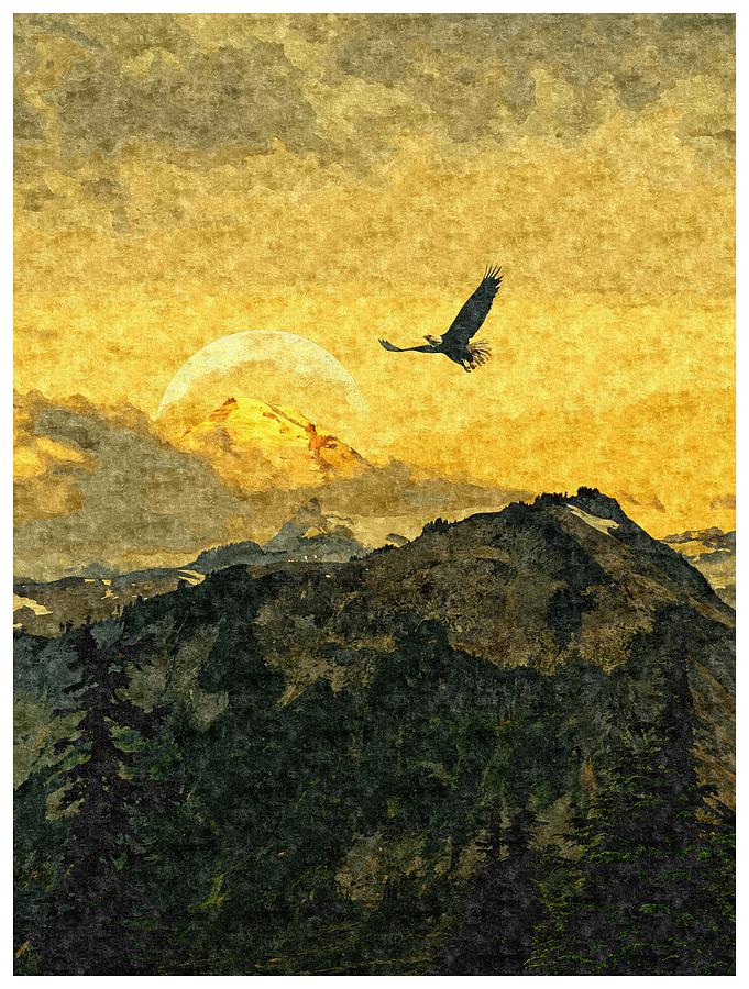 Eagle over Mt. Baker Painting by David Jolly - Fine Art America