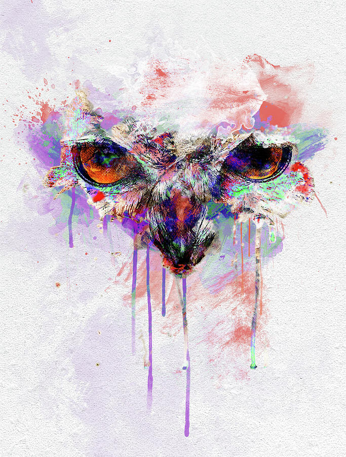 Eagle Owl Art Digital Art