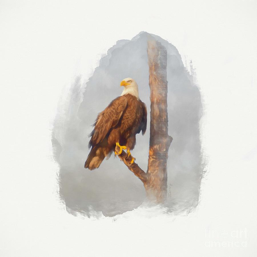 Eagle Portrait Digital Art by Jayne Carney