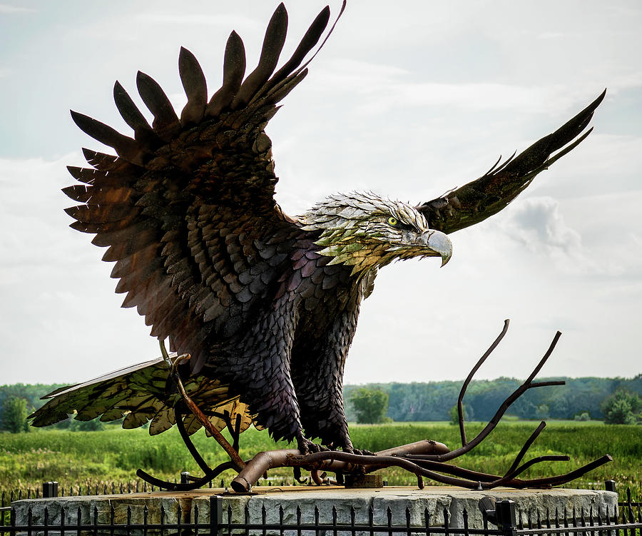 Eagle Sculpture at Montezuma National Wildlife Refuge Photograph by Phil Cardamone