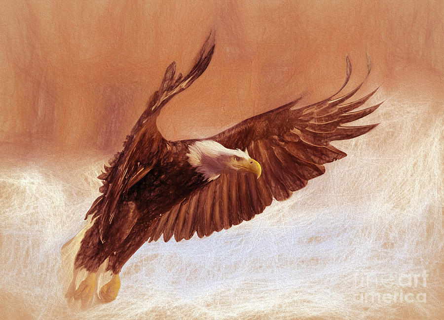 Eagle Painting - Eagle shadow  by Gull G