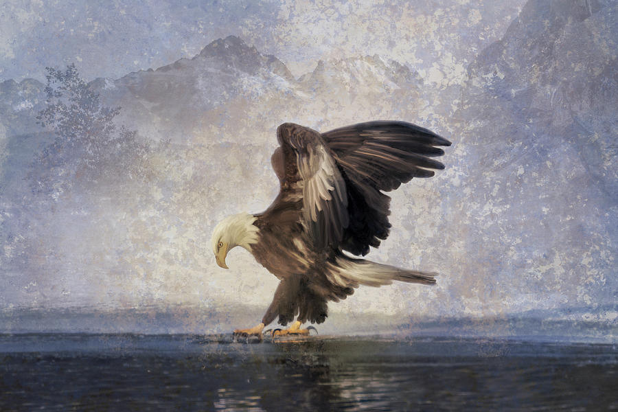 Eagle Skate - Painterly Texture Photograph by Patti Deters