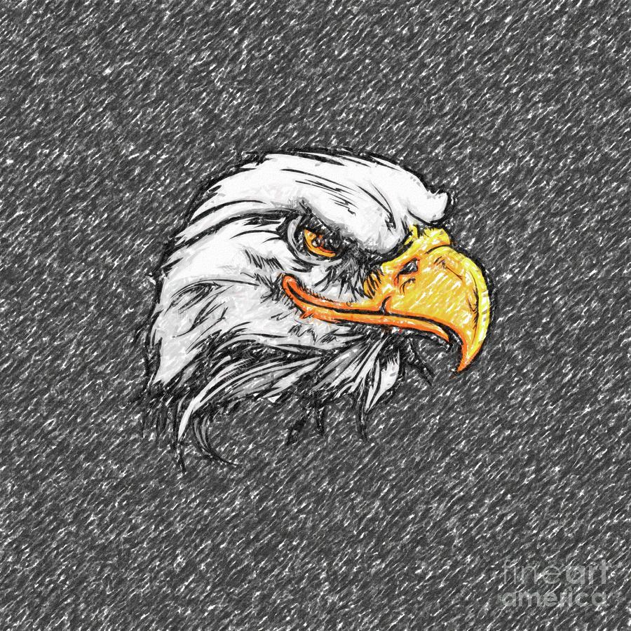 Eagle sketch Drawing by Darrell Foster