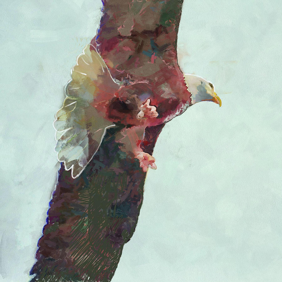 Eagle Soaring Digital Art by Robert Bissett