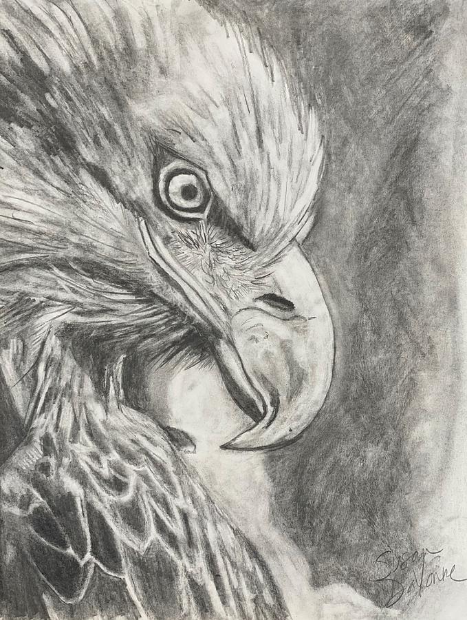 Eagle Drawing by Susan Martinez - Fine Art America