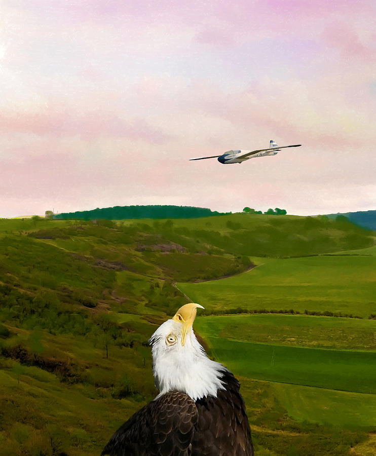 Eagle Photograph - Eagle Watches Unusual Bird Fly Over Her Habitat by Sandi OReilly