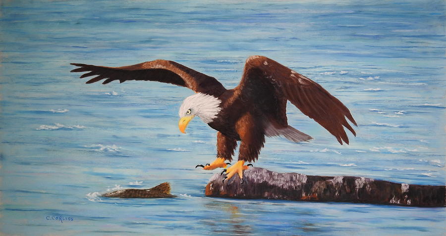 Eagles Catch Pastel by Carol Corliss