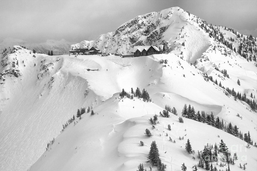 Eagles Eye In The Purcell Mountains Black And White Photograph by Adam Jewell