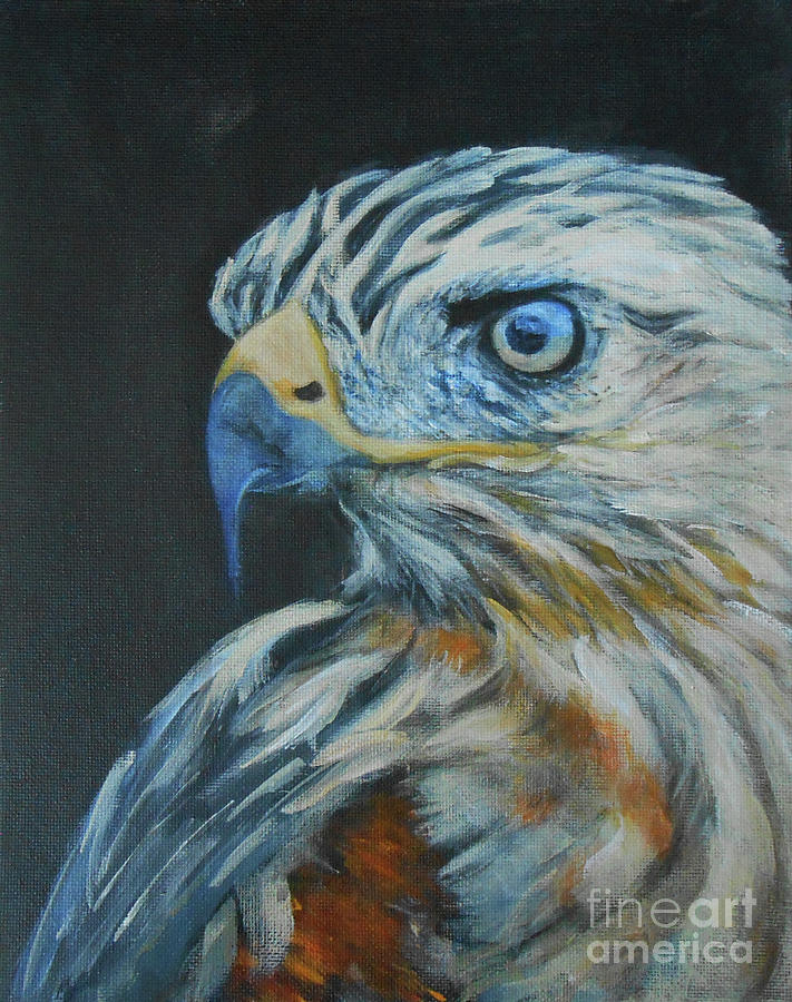 Eagles eye Painting by Jane See