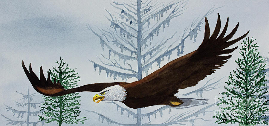 Eagles Hunt Painting by Norma Appleton