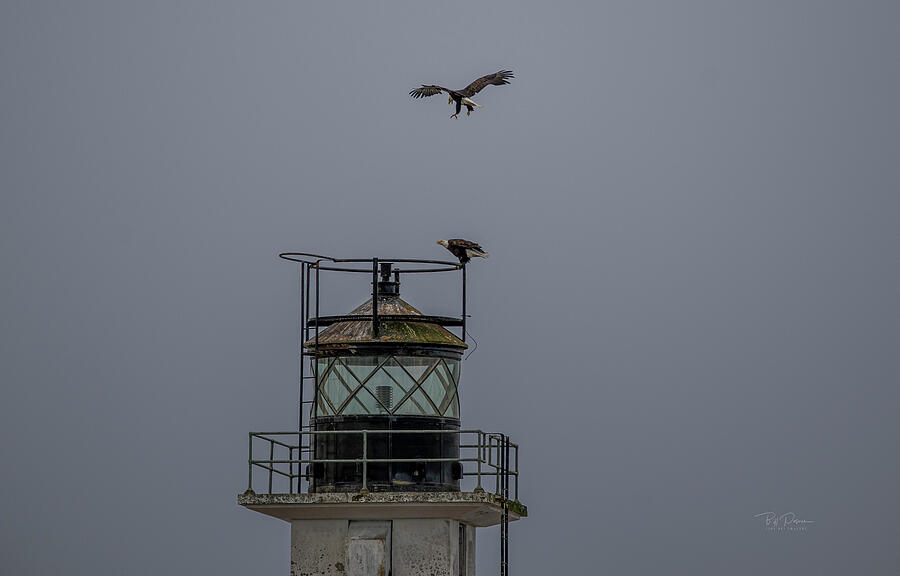 Eagles Lighthouse Sky Photograph by Bill Posner
