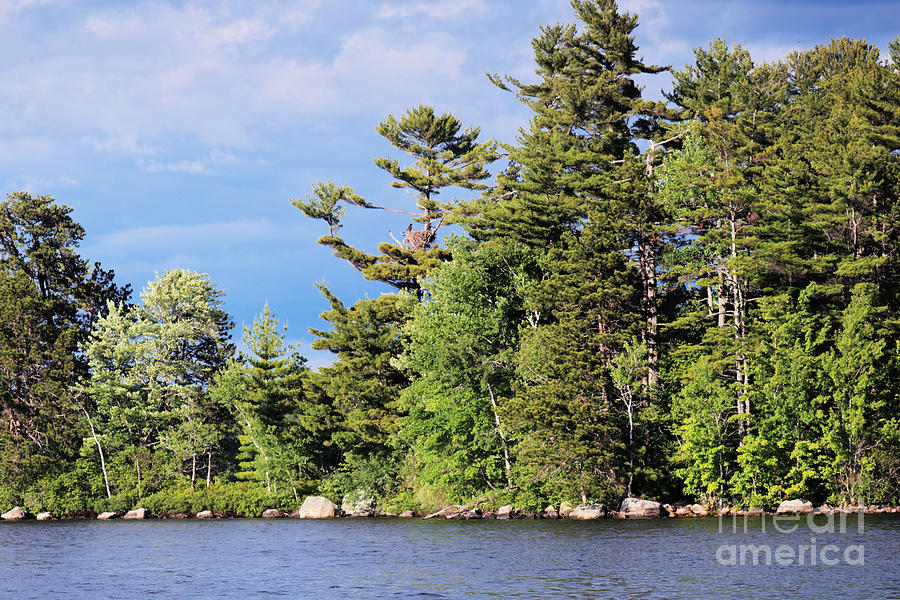 Eagles Nest Island Lake Sebago, Maine Photograph by Diann Fisher - Fine ...