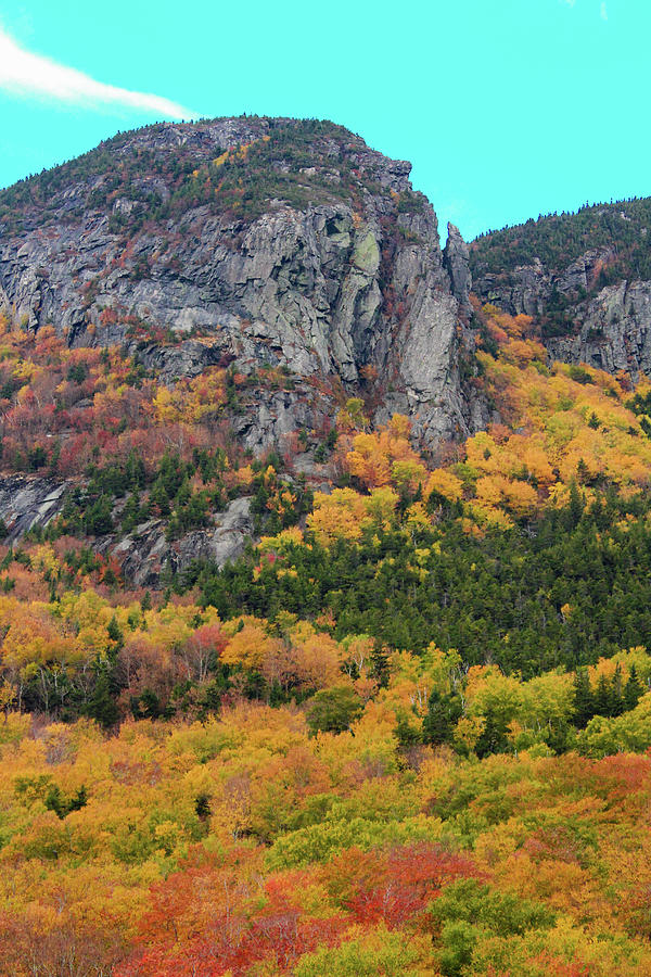 Eaglet At Eagle Cliff In Autumn Photograph