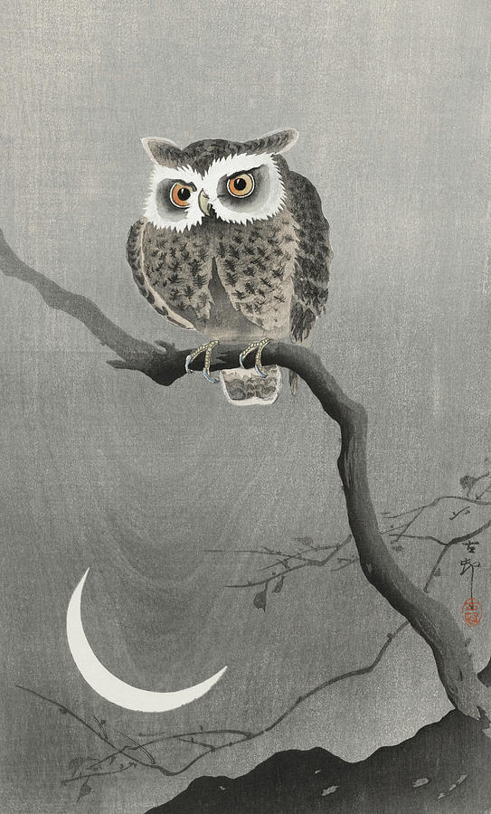 Eared Owl On Bare Tree Branch Painting by MotionAge Designs
