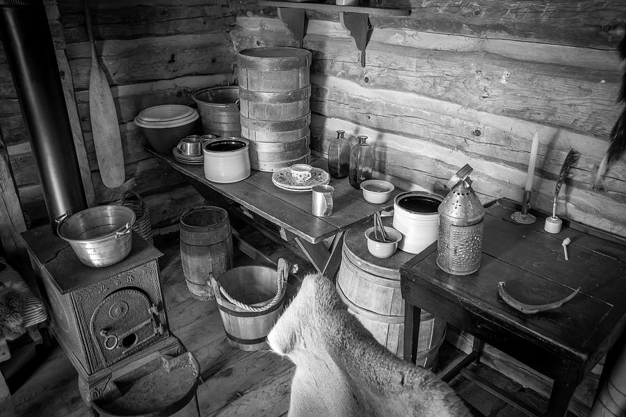 Early 1800s Artifacts Photograph by John Twynam