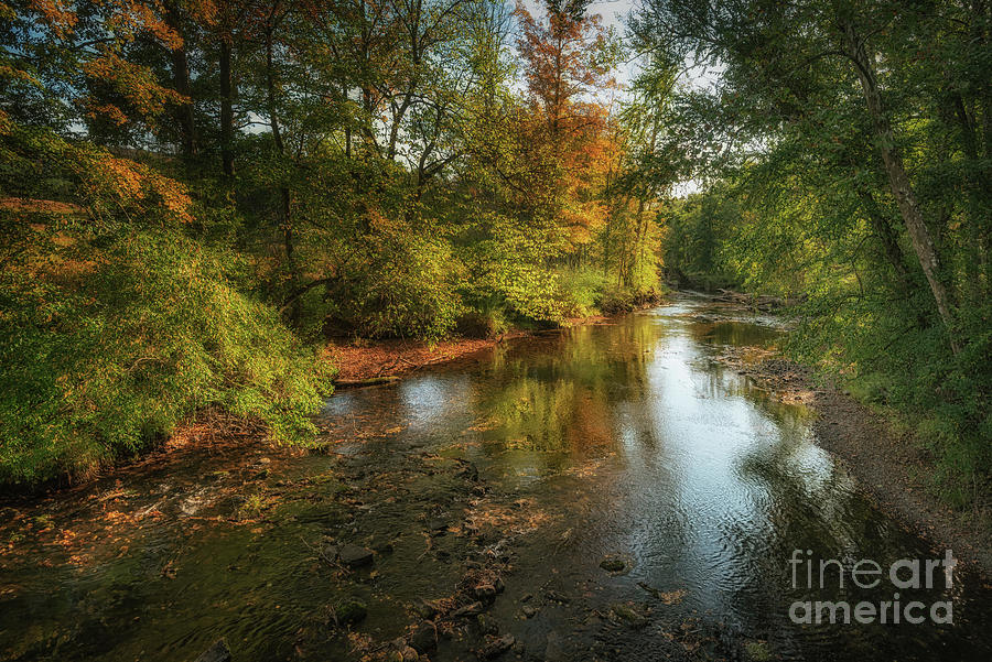 Early Autumn along the Flat Brook Photograph by Debra Fedchin