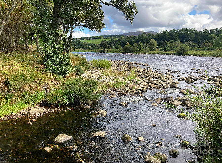 Early Autumn by the River Spey Photograph by Phil Banks