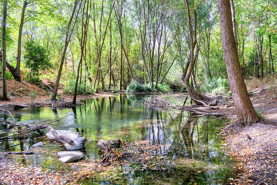 Early autumn. Genil river. Sierra Nevada National park. Photograph by ...