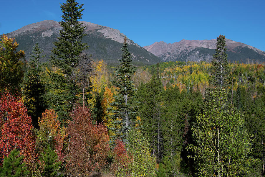 Early Autumn in the Gore Range Photograph by Cascade Colors - Fine Art ...