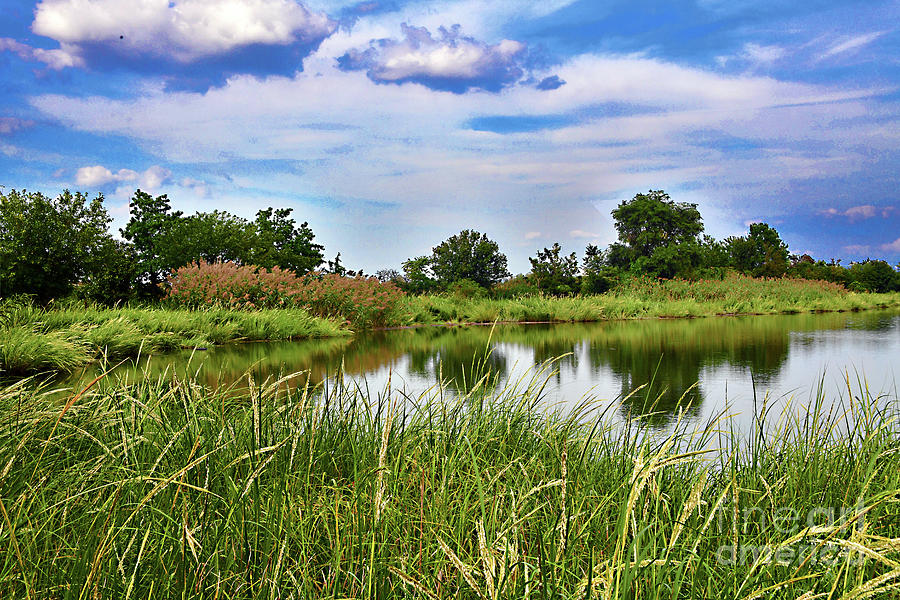 Early Autumn Marsh Landscape Photograph by Regina Geoghan