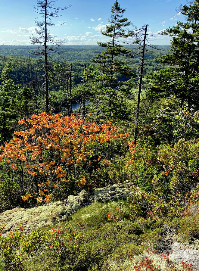 Early Autumn - Nova Scotia Photograph by Phil Banks