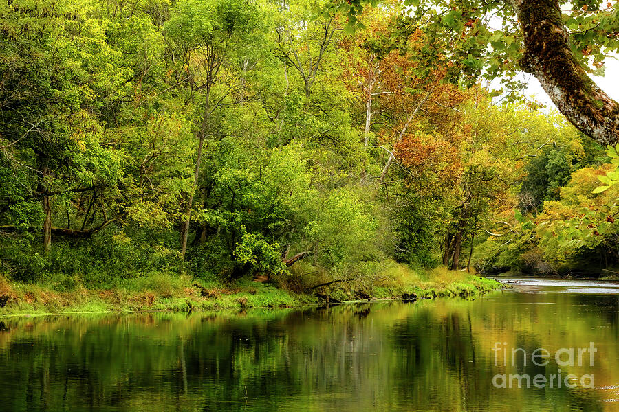 Early Autumn on the River Photograph by Shelia Hunt