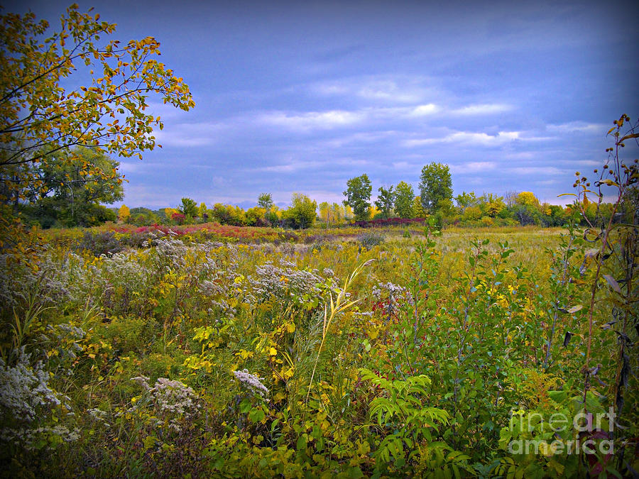Early Autumn Prairie Stormy Sky Photograph