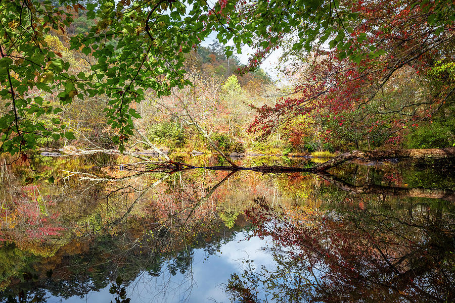 Fall Photograph - Early Autumn Reflections by Debra and Dave Vanderlaan