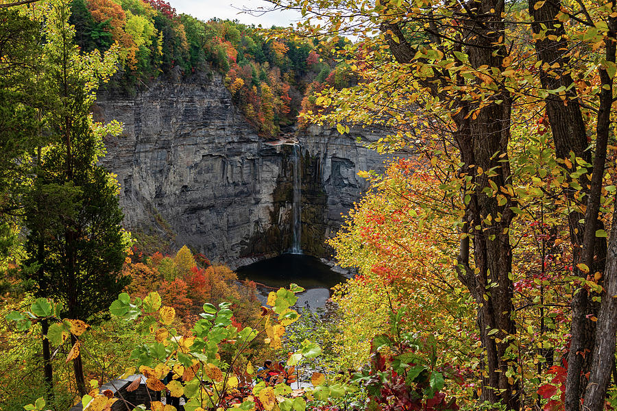 Early Autumn Taughannock Falls Photograph by Chad Dikun