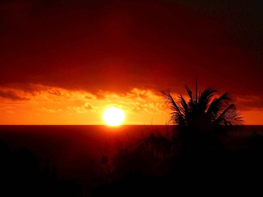 Sunset Photograph - Early by Dietmar Scherf