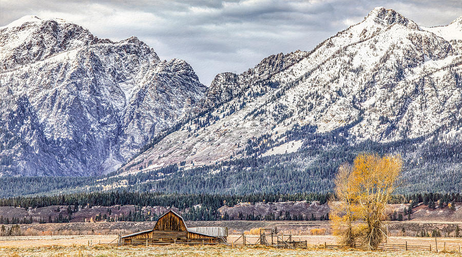 Early Dusting of Snow at John Moulton Barn, Grand Tetons Photograph by Marcy Wielfaert