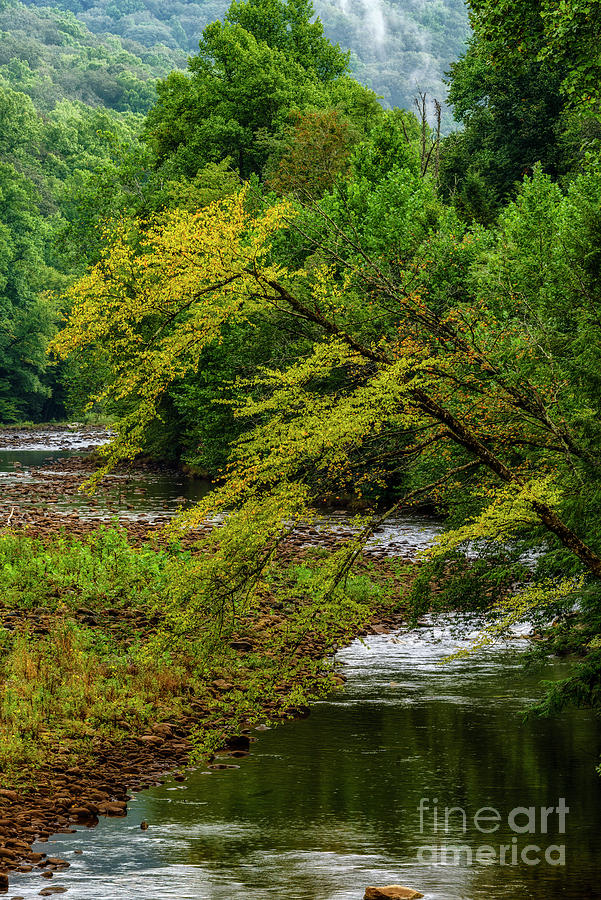 Early Fall Color Williams River Photograph by Thomas R Fletcher