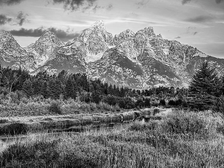 Early Fall at Grand Tetons Black and White Photograph by Judy Vincent