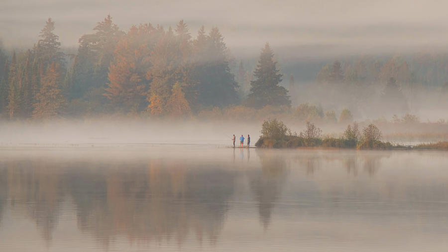 Early Fall In Algonquin Photograph by CR Courson