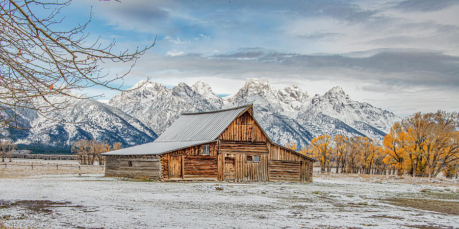 Early Fall Snow at Mormon Row,  A Grand Tetons Panorama Photograph by Marcy Wielfaert