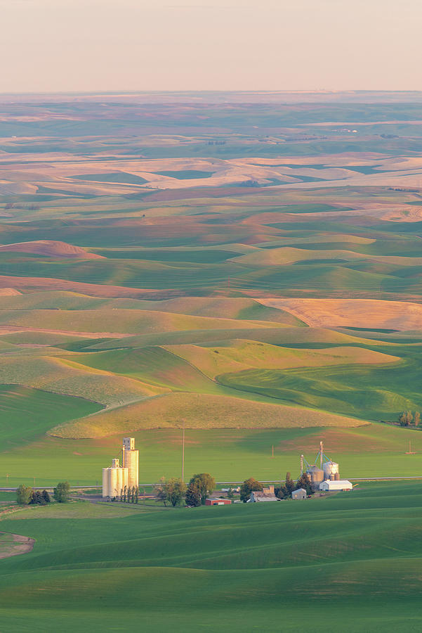 Early light at Palouse Digital Art by Michael Lee