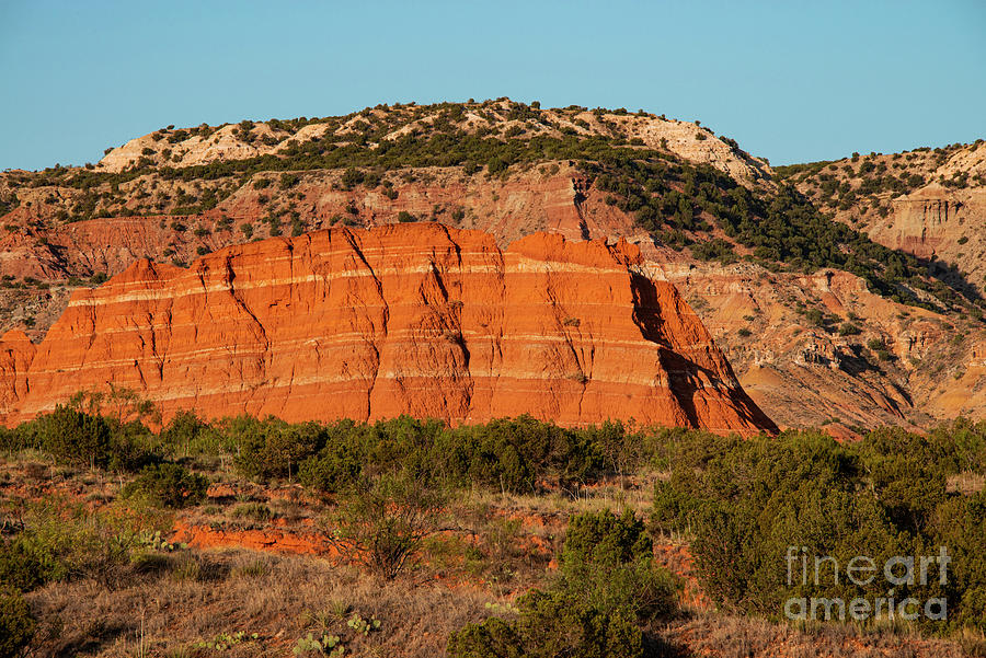 Early Light in Palo Duro Canyon Five Photograph by Bob Phillips