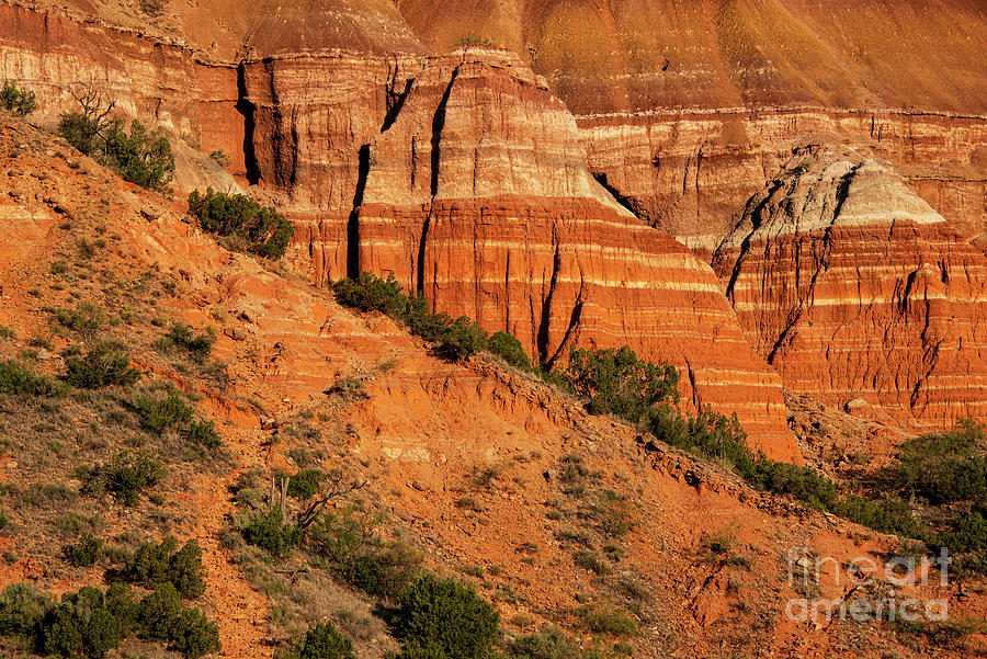 Early Light in Palo Duro Canyon Four Photograph by Bob Phillips