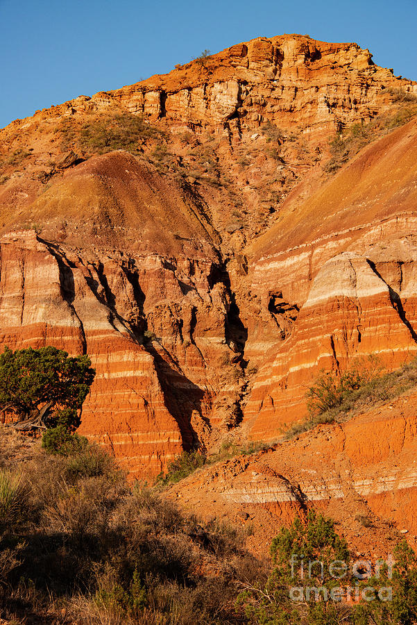 Early Light in Palo Duro Canyon One Photograph by Bob Phillips