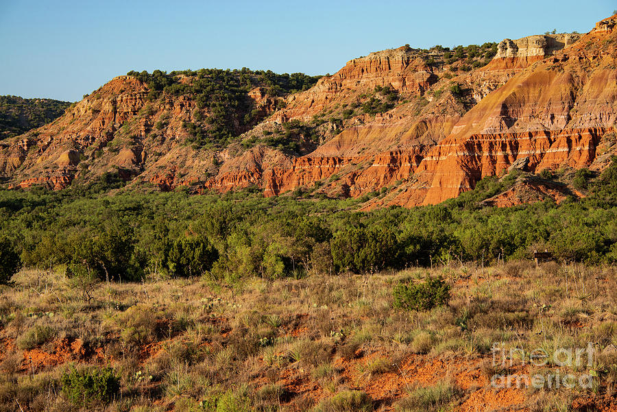 Early Light in Palo Duro Canyon Three Photograph by Bob Phillips