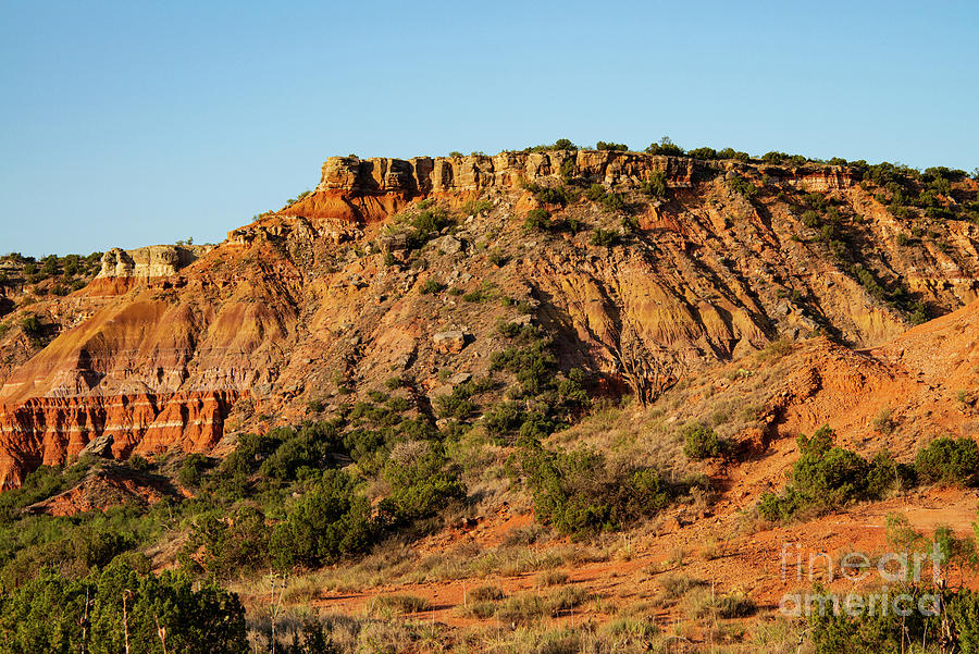 Early Light in Palo Duro Canyon Two Photograph by Bob Phillips