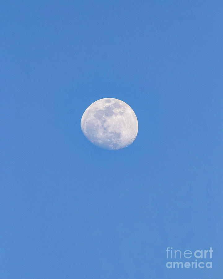 Early Moon Photograph by Shirley Dutchkowski
