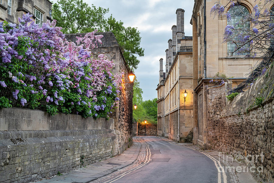 Early Morning along Queens Lane Oxford  Photograph by Tim Gainey