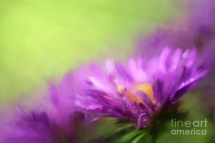 Early Morning Asters  Digital Art by Lois Bryan