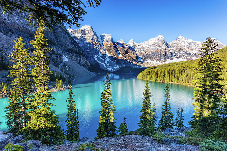Early Morning at Moraine Lake in Banff Photograph by Mike Centioli