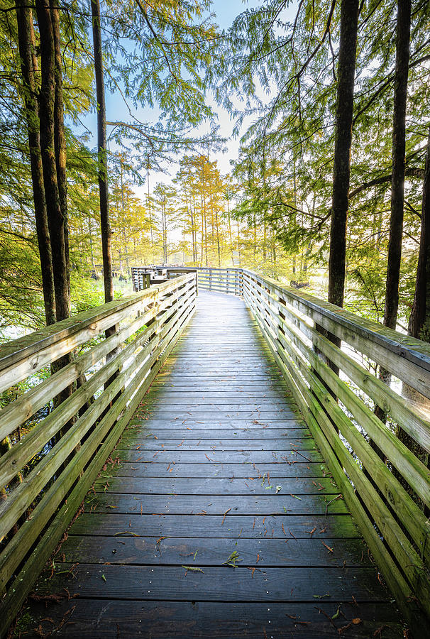 Early Morning At The Pier At Bluff Lake Photograph by Jordan Hill